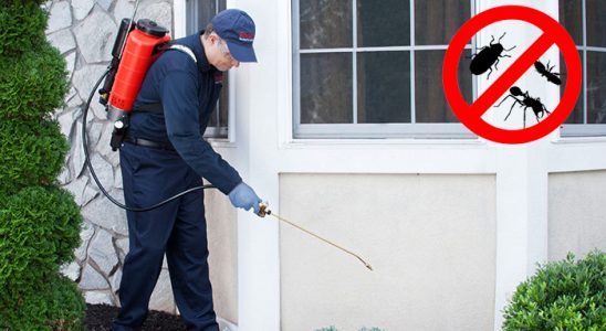 Akseki Gümüşkurt İlaçlama böcek ilaçlama ve haşere kontrolü — ilaclama-tr.com
